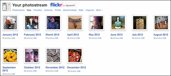 365 Photo Project Flickr Sets